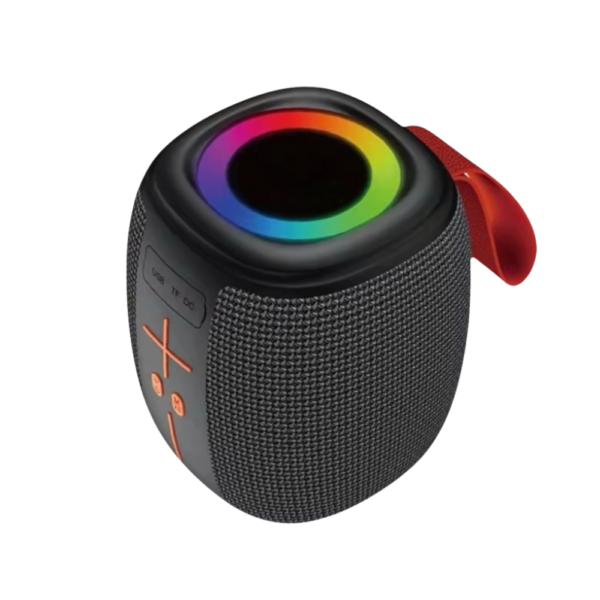 ENCEINTE (HAUT PARLEUR) SANS FIL HM-805